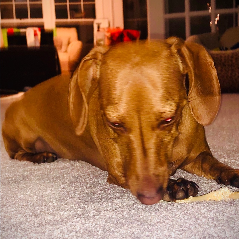 Meet your Posher, Stef